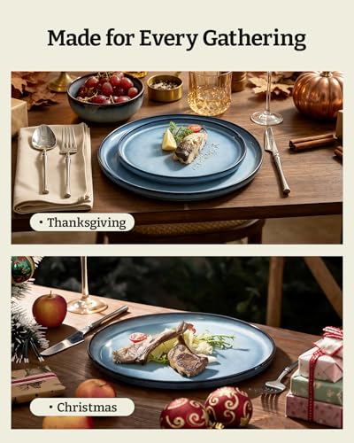 Milkyway 24 Piece Stoneware Dinnerware Set
