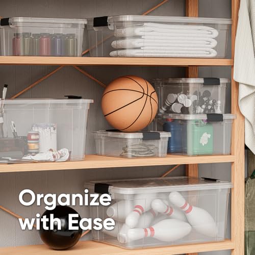 2.3 Quart Clear Plastic Storage Containers with Lids (4 Count)
