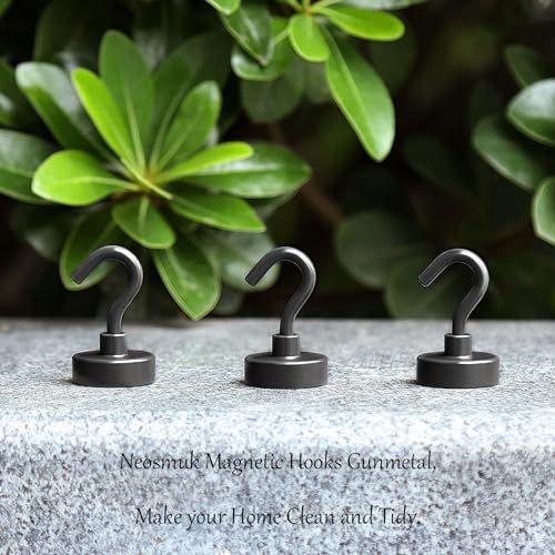 Magnetic Hooks (10 Count)