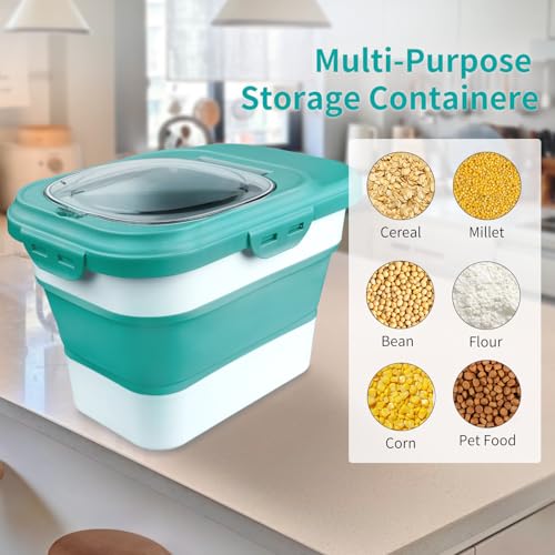 Rice Storage Container