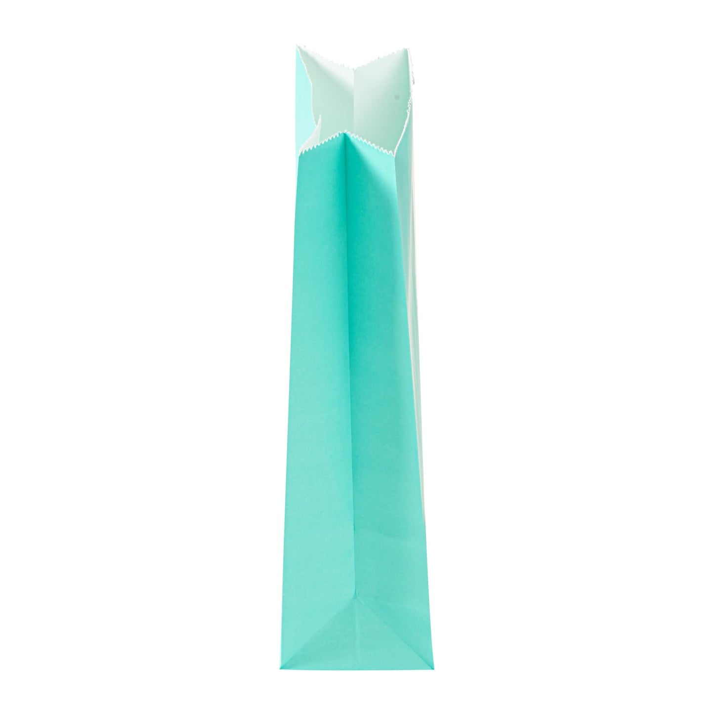 Turquoise Paper Bag (100 Count)