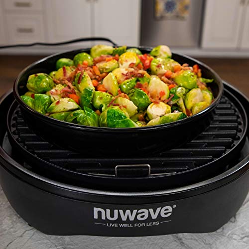 Primo Infra Red Grill Oven