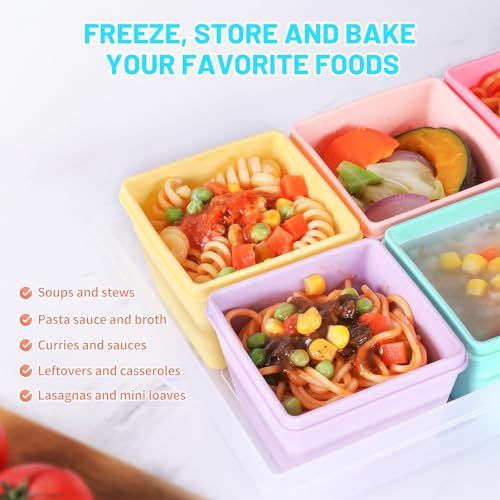 Silicone Freezer Molds with Lids (6 Count)
