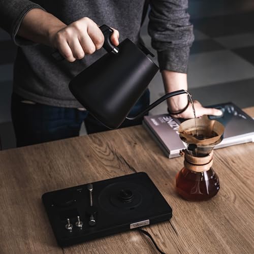 DJ Electric Gooseneck Kettle