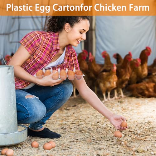 60Pack Jumbo Egg Cartons Duck Egg Cartons Extra Large Egg Containers (60 Count)