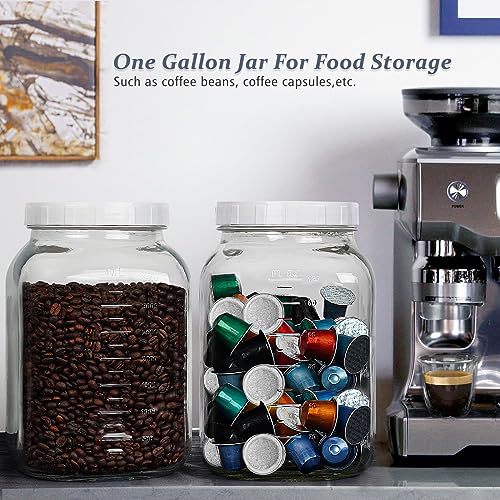 2 Pack Wide Mouth 1 Gallon Clear Glass Jar with Lid (2 Count)