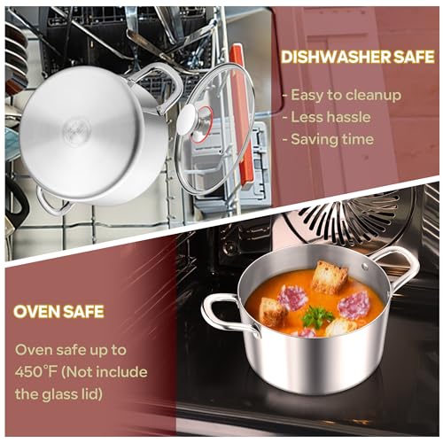5 Quart Stock Pot with Lid