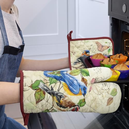 Vintage Bird Oven Mitts and Pot Holders Set