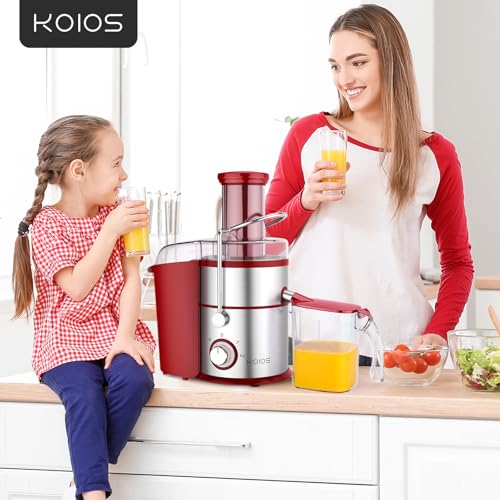 1300W Centrifugal Juicer Machine
