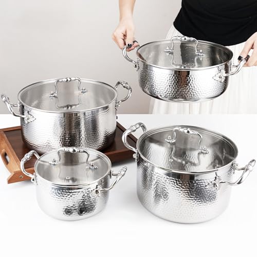 Stainless Steel Stock Pot with Visible Lid for Pasta