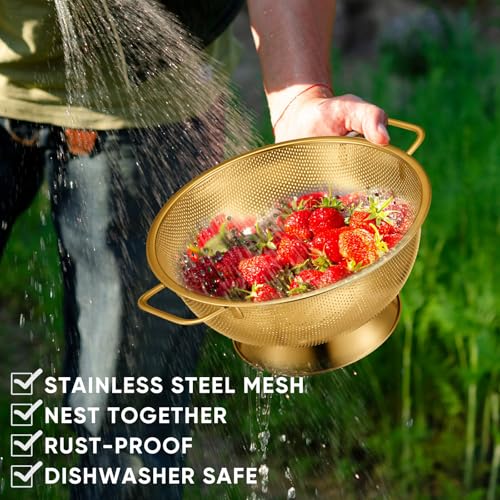 3 Pcs Stainless Steel Colander Set Metal Mesh Strainers (3 Count)