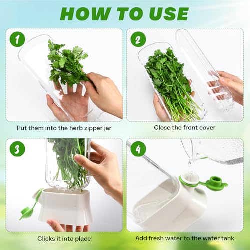 2 Pieces Herb Saver for Refrigerator Fresh Herb Keeper Cilantro Container for Fridge Saver Pod for Cilantro