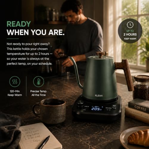 Gooseneck Electric Kettle with Temperature Control