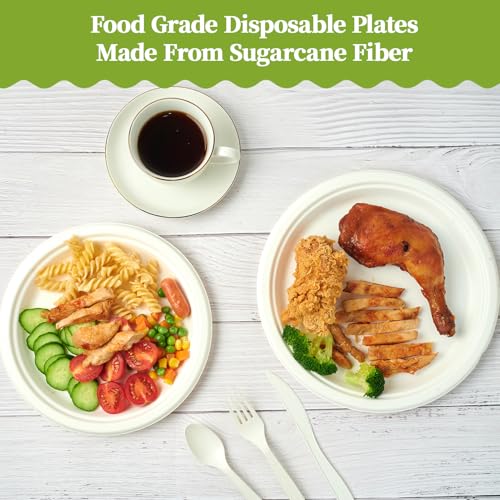 120 Pack Compostable Paper Plates Disposable (60 Count)