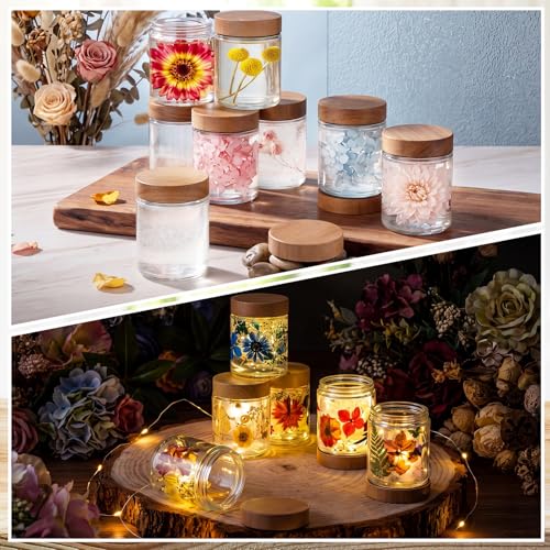 24 Pcs 8oz Glass Jars with Lids Empty Small Glass Containers and Inner Liners Reusable Cosmetic Jars Round Airtight Bottles with Plastic Wood Grain Lids for Travel (24 Count)