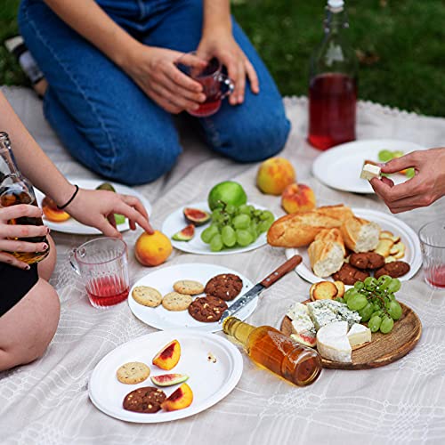 150 Pack Paper Plates 9 inch 100% Compostable (150 Count)