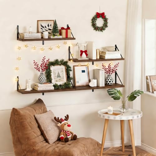 Black Deep Floating Shelves for Wall