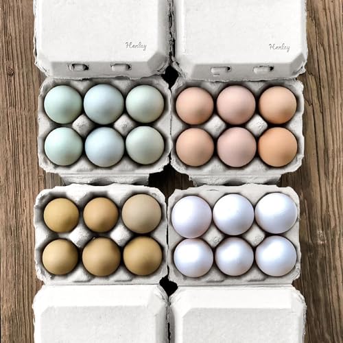 White Half Dozen Blank Egg Cartons (20 Count)