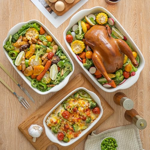 Ceramic Baking Dishes Set of 3 (3 Count)