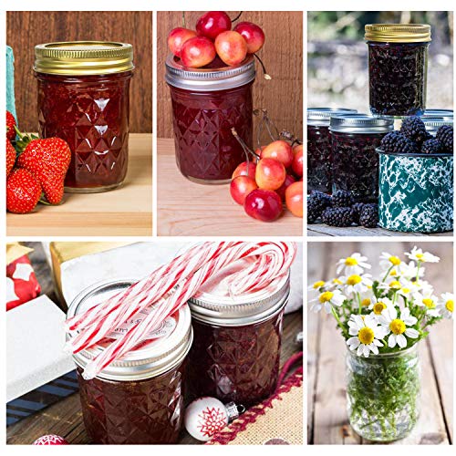 Mason Jars 8 oz (24 Count)