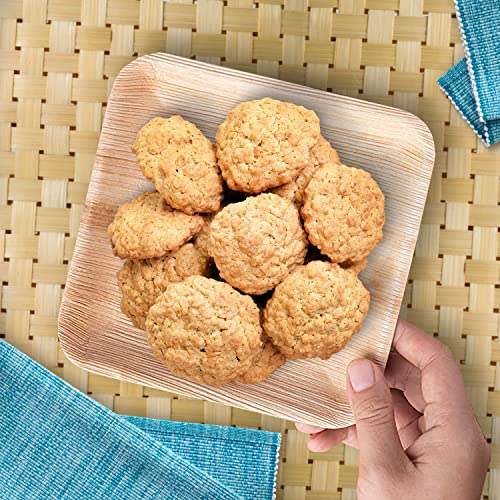 Raj Leaf Disposable Heavy Duty 6" Square Plates 200 Pack