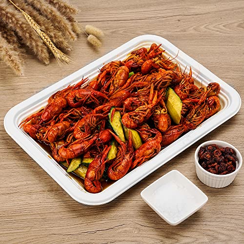 50Pack 14" Heavy Duty Disposable Rectangle Food Trays