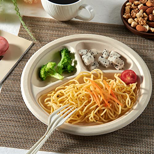 Compostable Paper Plates (125 Count)