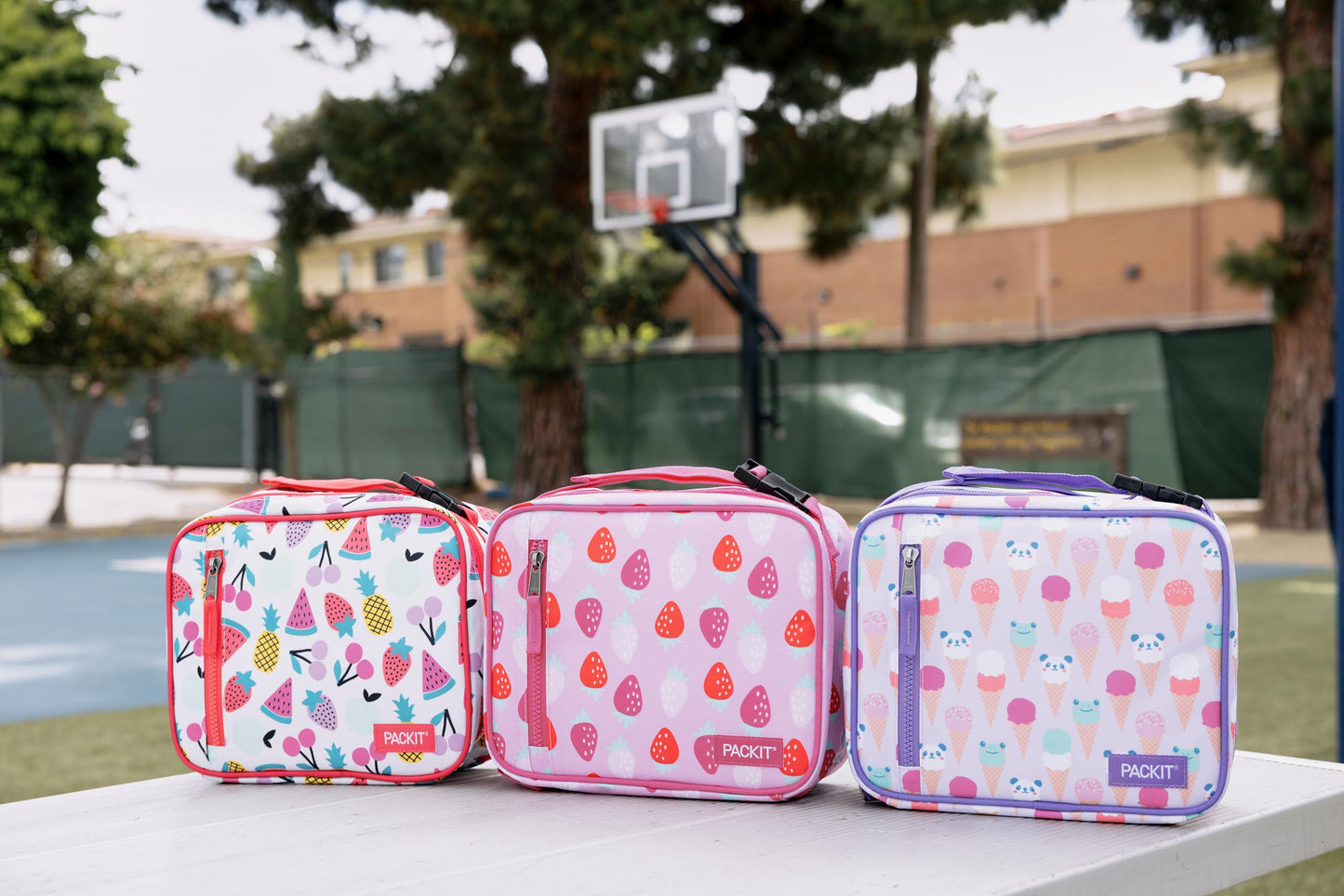 Freezable Classic Lunch Box