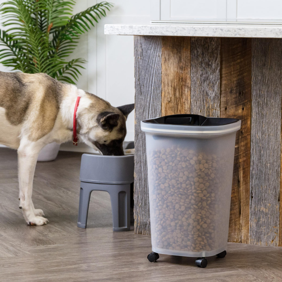 Dog Food Storage Container
