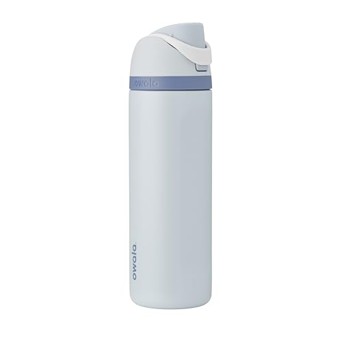 Princess FreeSip Stainless Steel Water Bottle 24 oz Cinderella