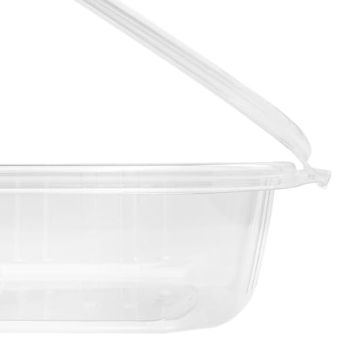 24oz 200 ct PET Clamshell Square Deli Containers (200 Count)