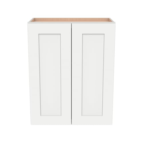 Wall Mounted Cabinet