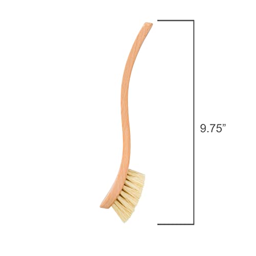 Dish Brush Tampico Fiber