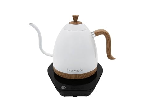 Artisan Electric Gooseneck Kettle