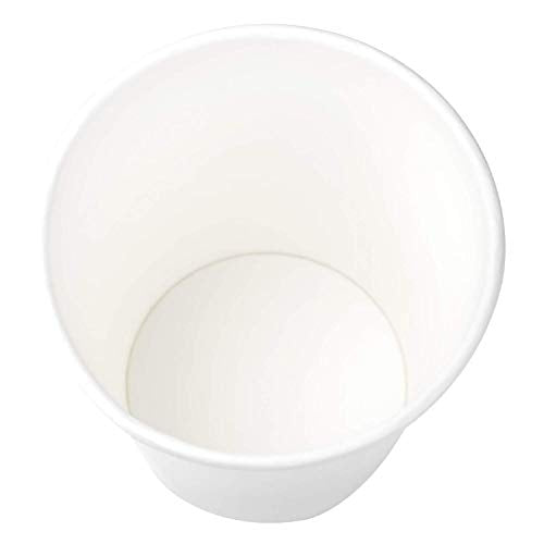 10 oz Paper Cups (1000 Count)