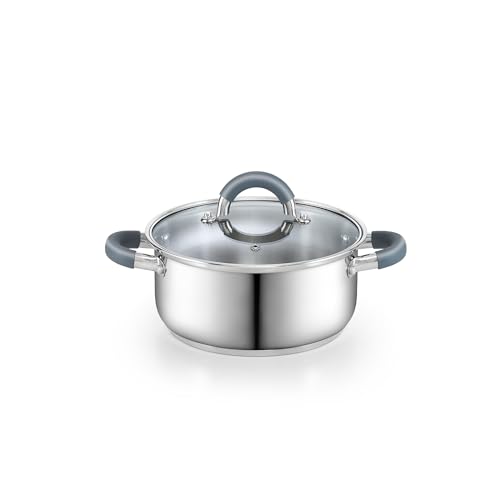 Basics 3 Quart Stainless Steel Stock Pot with Lid