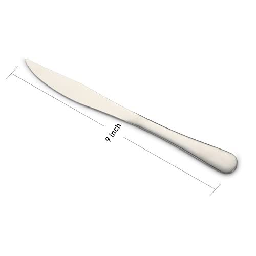 Steak Knife and Dinner Fork Set (24 Count)