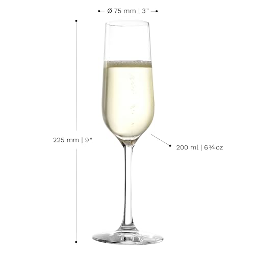 Revolution Sparkling Wine Champagne Glasses 6 3 (6 Count)