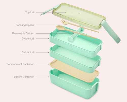 Bento Box Adult Lunch Box