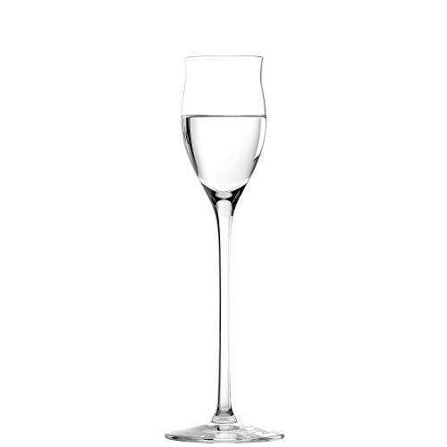 Liqueur Glasses Quatrophil Set of 2 (4 Count)
