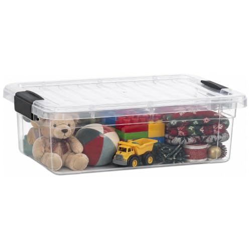 Storage Bins with Lids