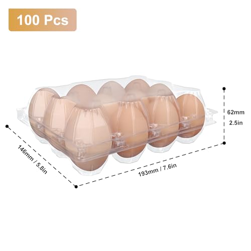 100 Pack Bulk Egg Cartons (100 Count)