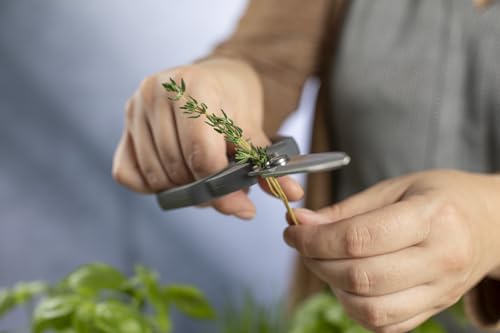 Kitchen Shears Compact