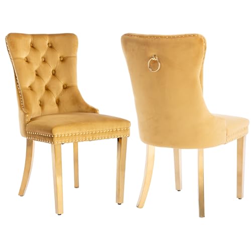 Gold Velvet Dining Chairs Set of 2 (2 Count)