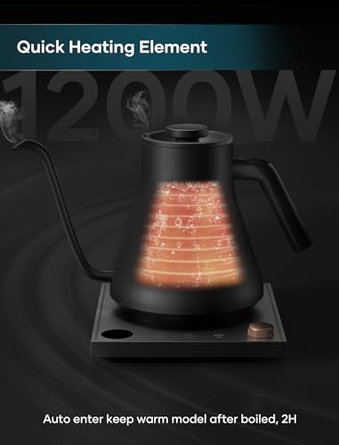 Gooseneck Electric Kettle