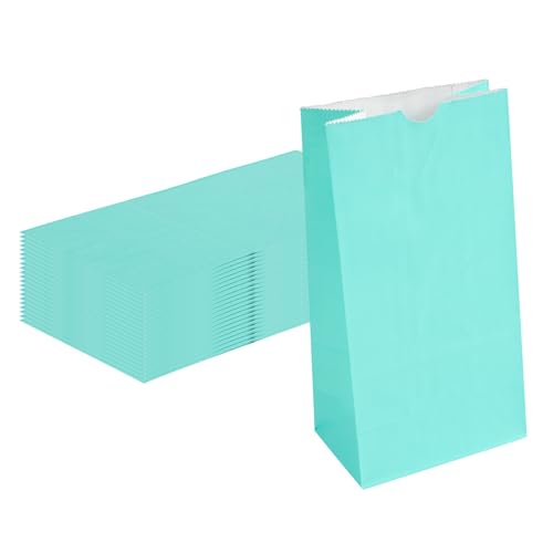 Turquoise Paper Bag (100 Count)