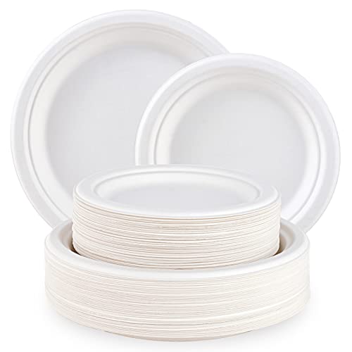 120 Pack Compostable Paper Plates Disposable (60 Count)