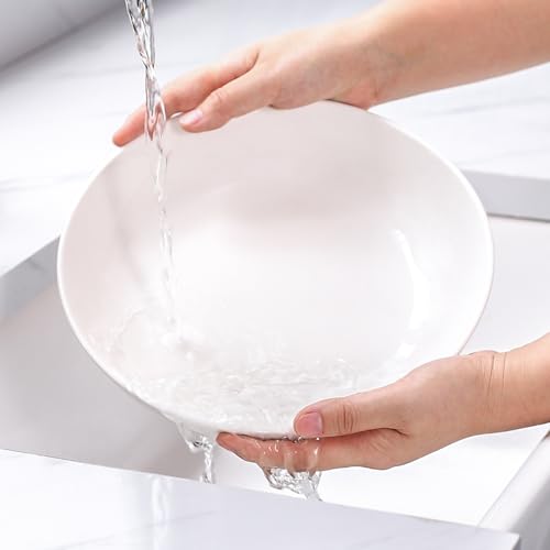 9.75" Pasta Bowls Set of 4 (4 Count)