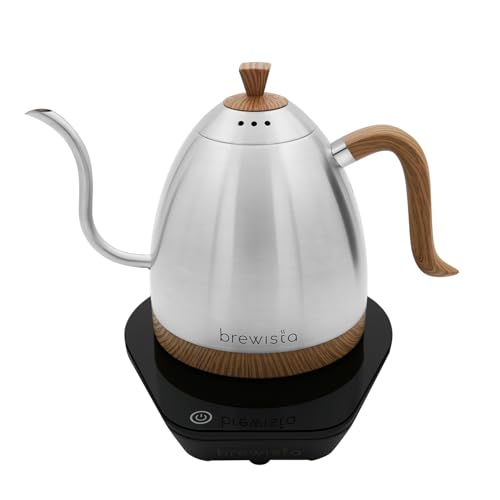 Artisan Electric Gooseneck Kettle