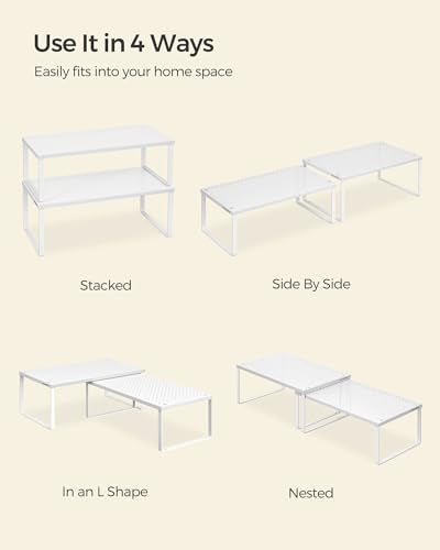 Set of 2 Metal Spice Racks (2 Count)